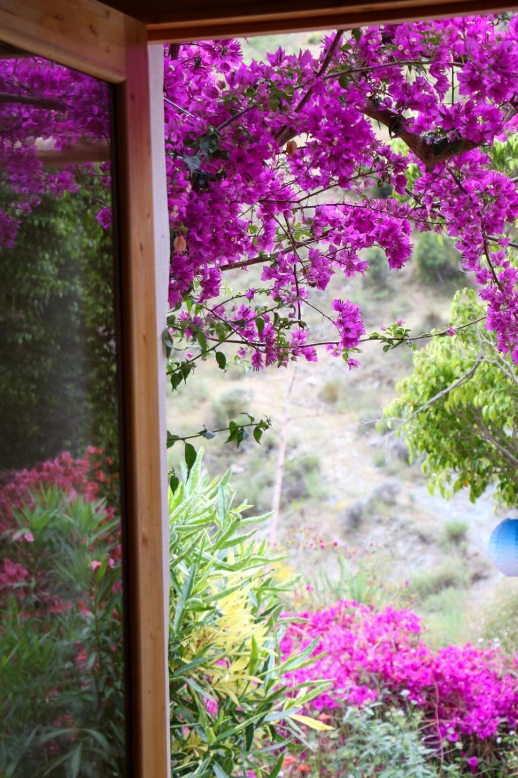 Cortijo Jamaica - Off Grid Paradise - Costa Tropical Los Diaz  Екстериор снимка